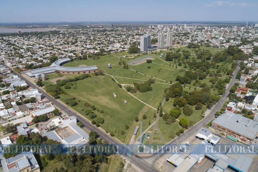 Los arboles en su día en fotos