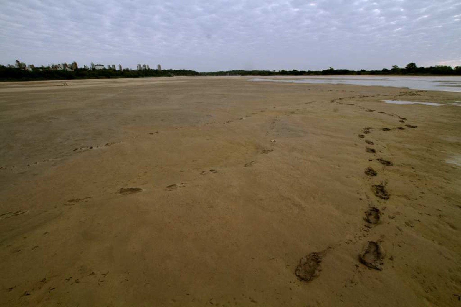 Mezcla de arena y greda. Así son algunos sectores del banco de arena.