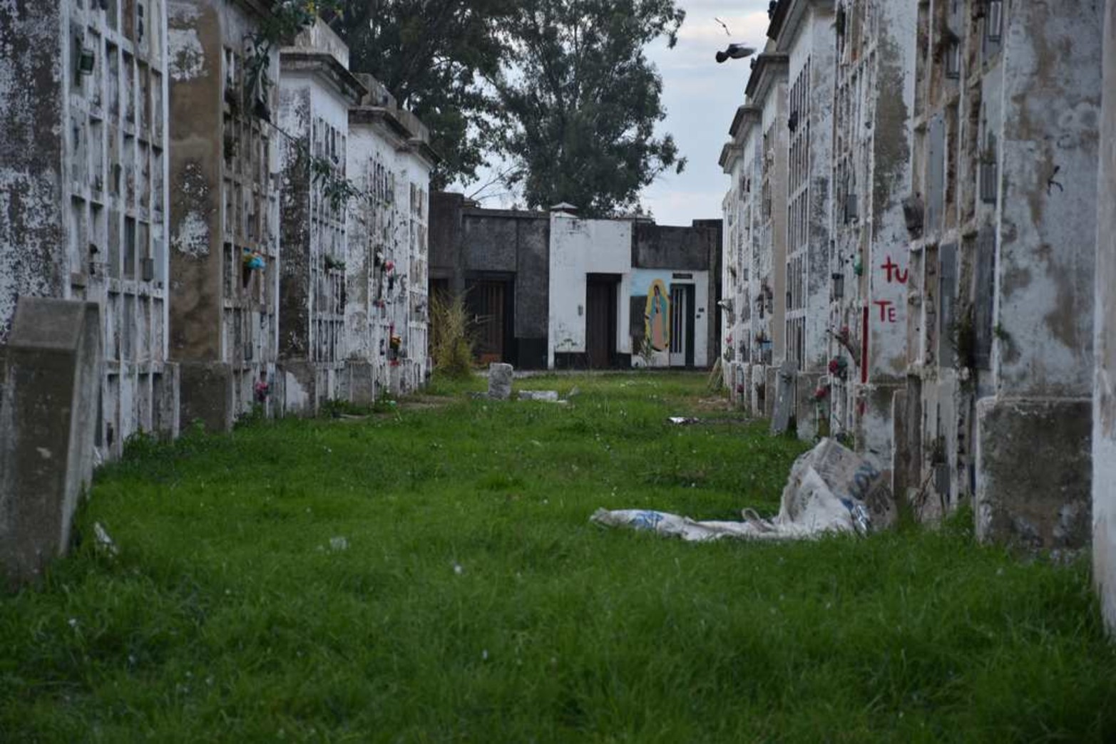 La falta de mantenimiento y las profanaciones es un tema que sigue sin solución.
