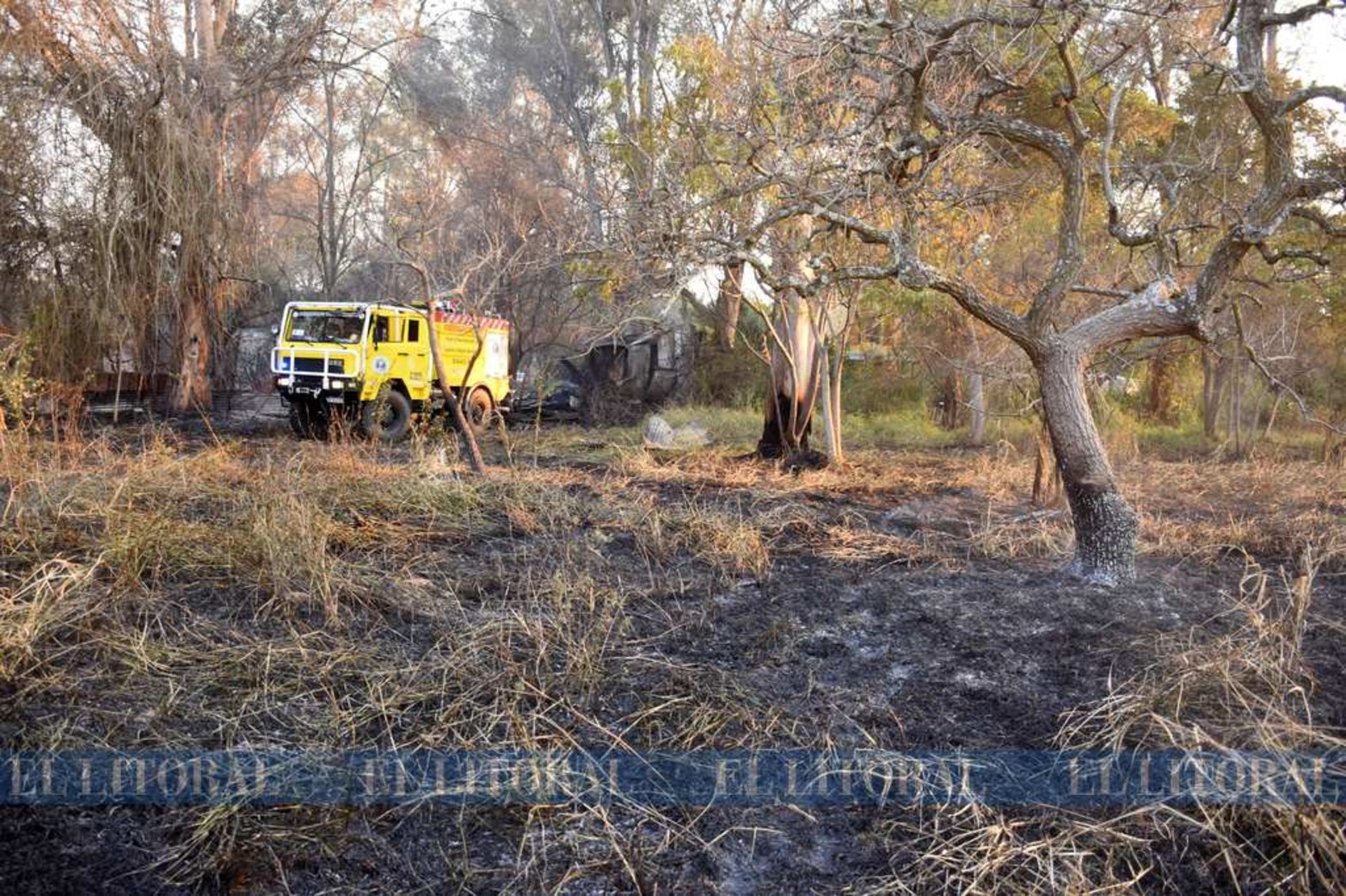 Tierra negra. Así queda el suelo luego del paso del fuego.
