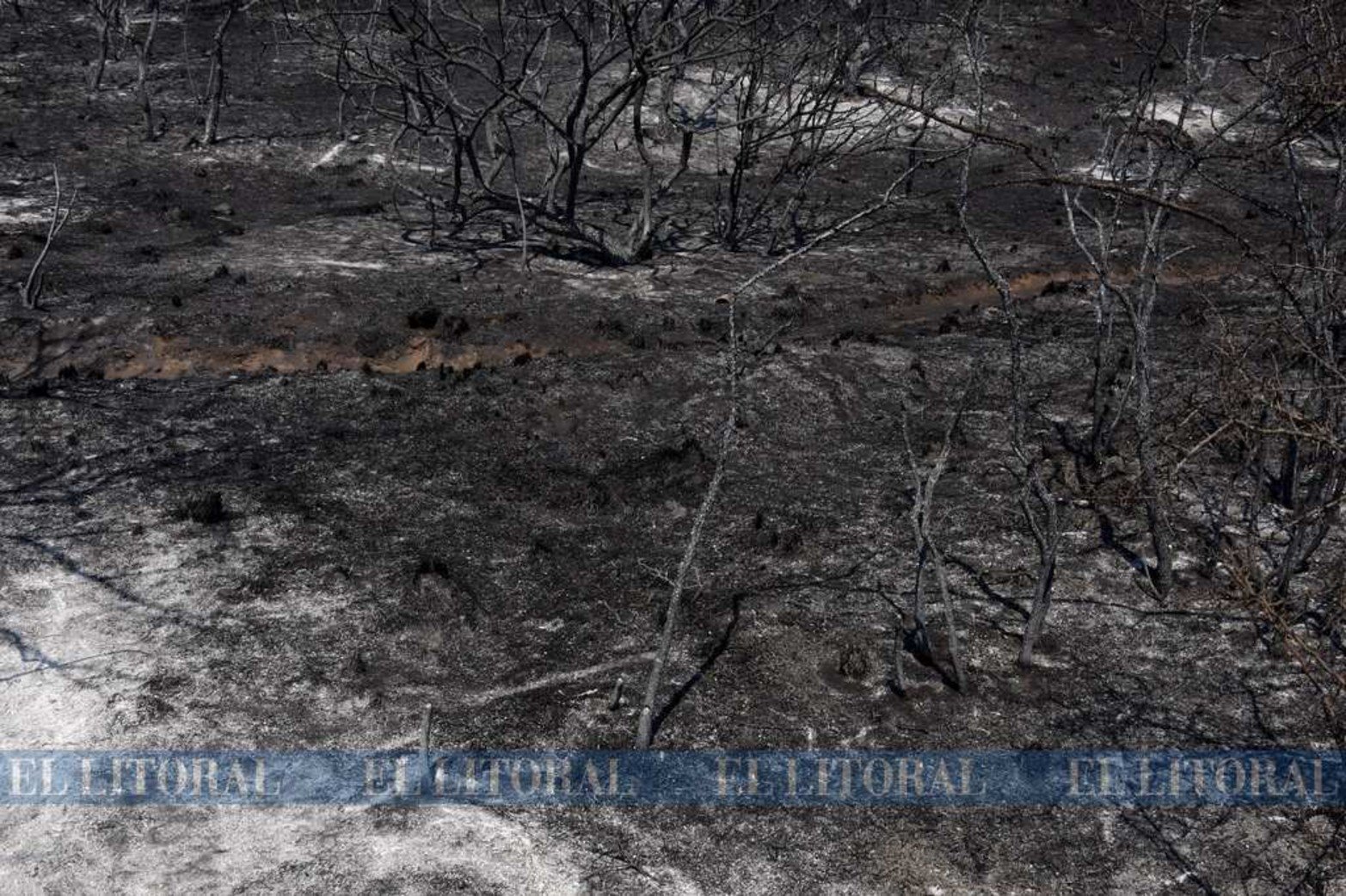 Estiman que el fuego arrasó con mas de 20.000 hectáreas.