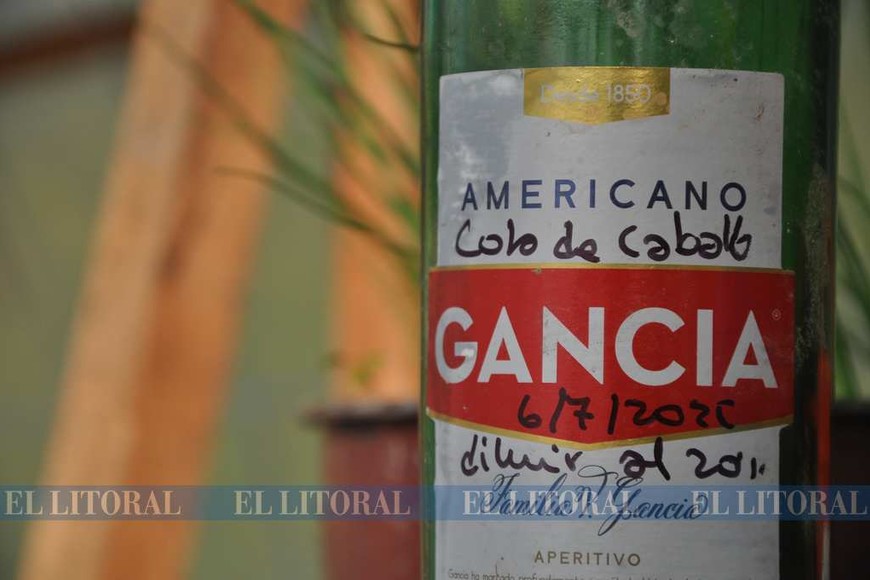 Las huertas familiares se triplicaron en cuarentena