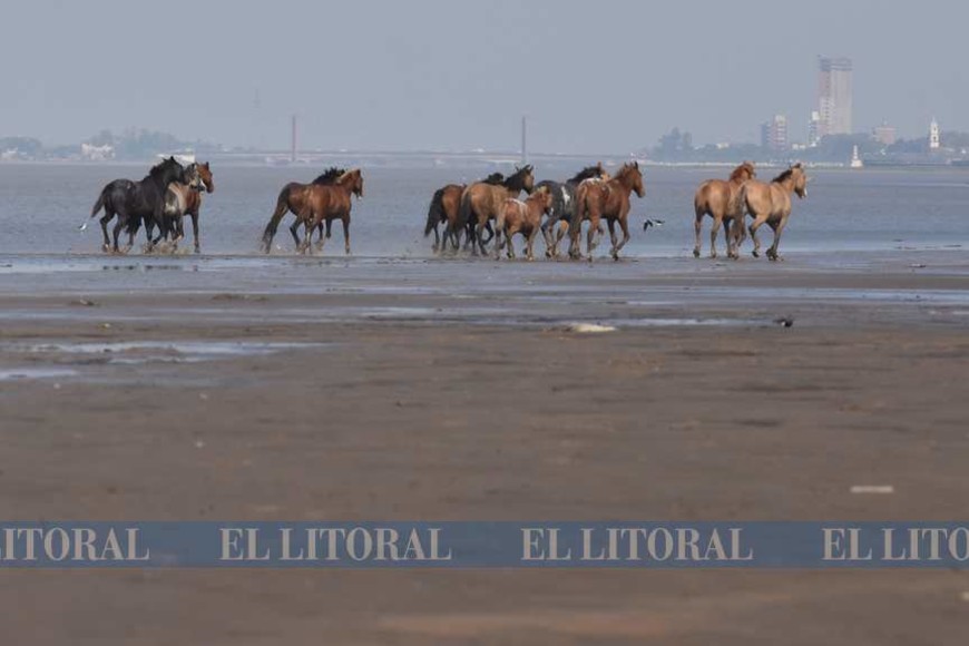 Anuario 2020: La bajante del río en 30 encuadres desde el aire y la tierra