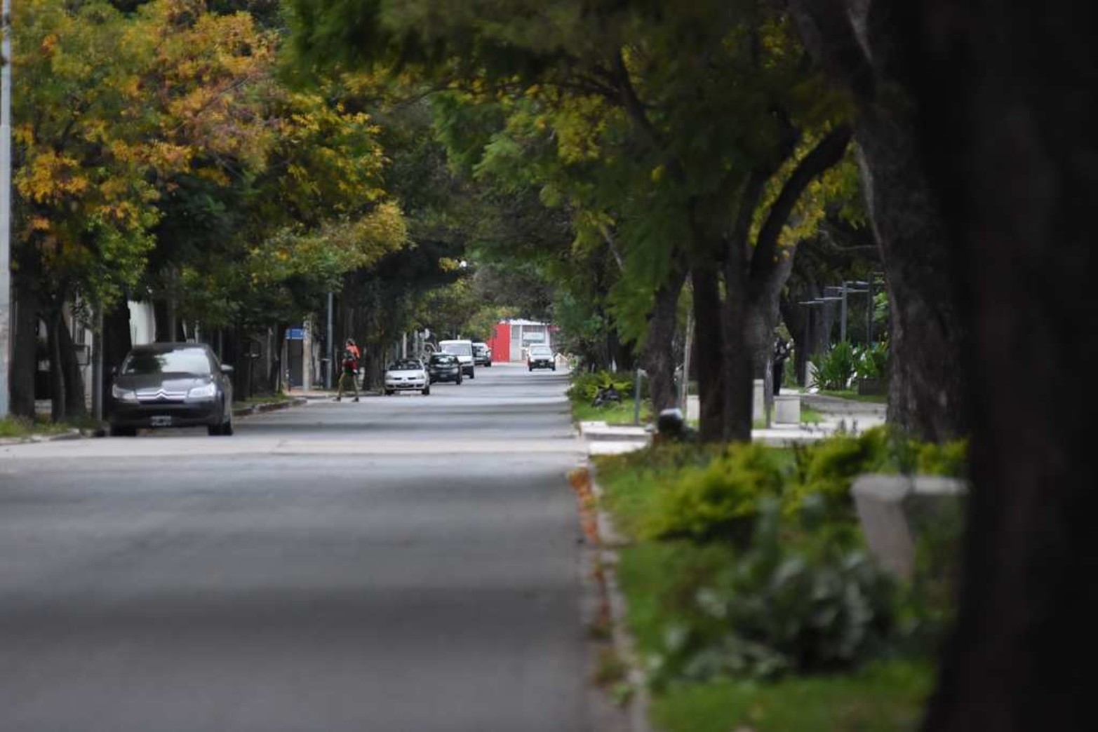 Avenida Freyre...mostró esta particular imagen que muy difícil vuelva a suceder.