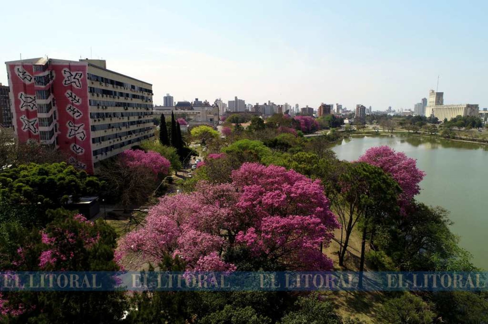 Desde el aire, la zona del parque del Lago del Sur, lucen los lapachos rosados y los tonos verdes.