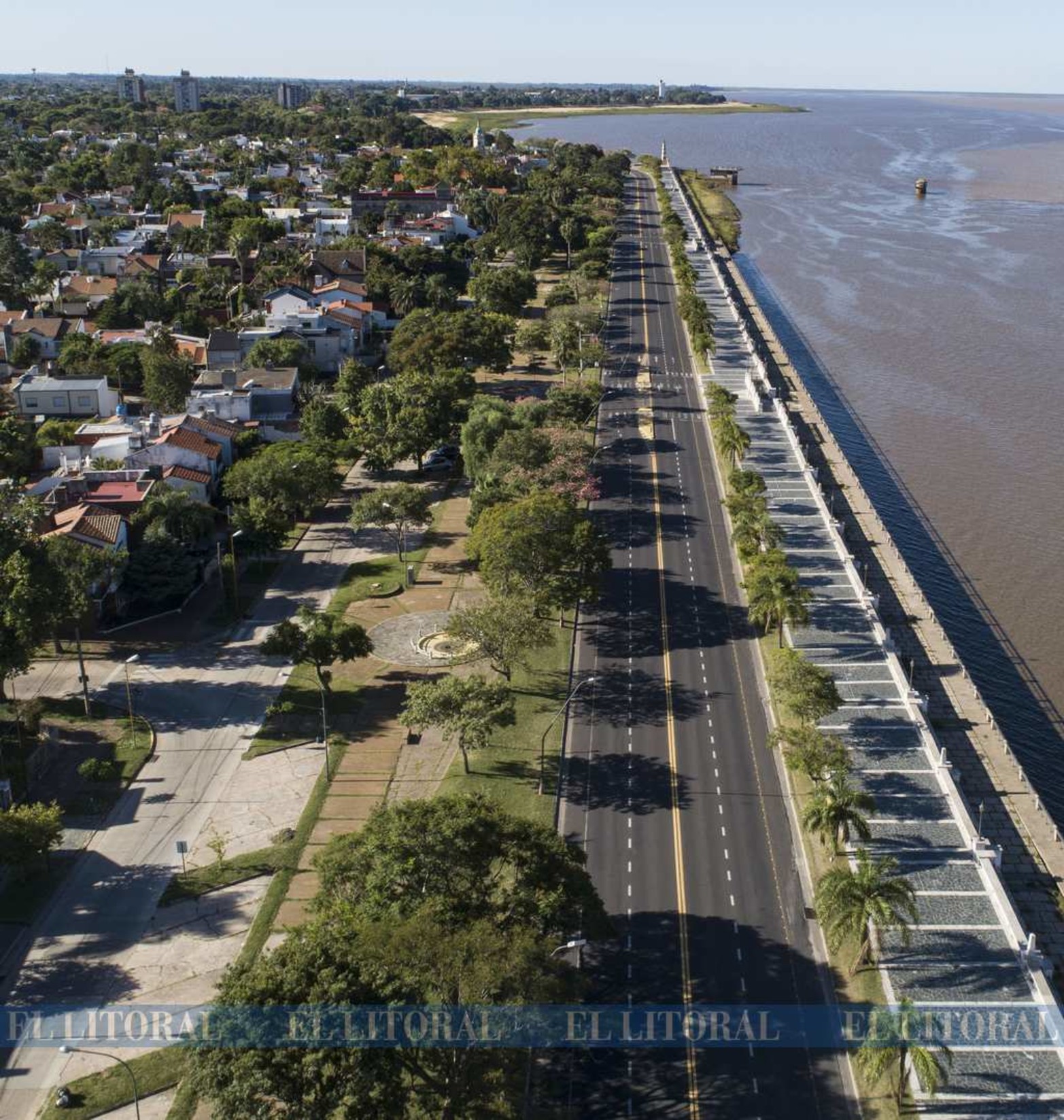 Entre dos avenidas. Los árboles entre las avenidas Brown y Siete Jefes.