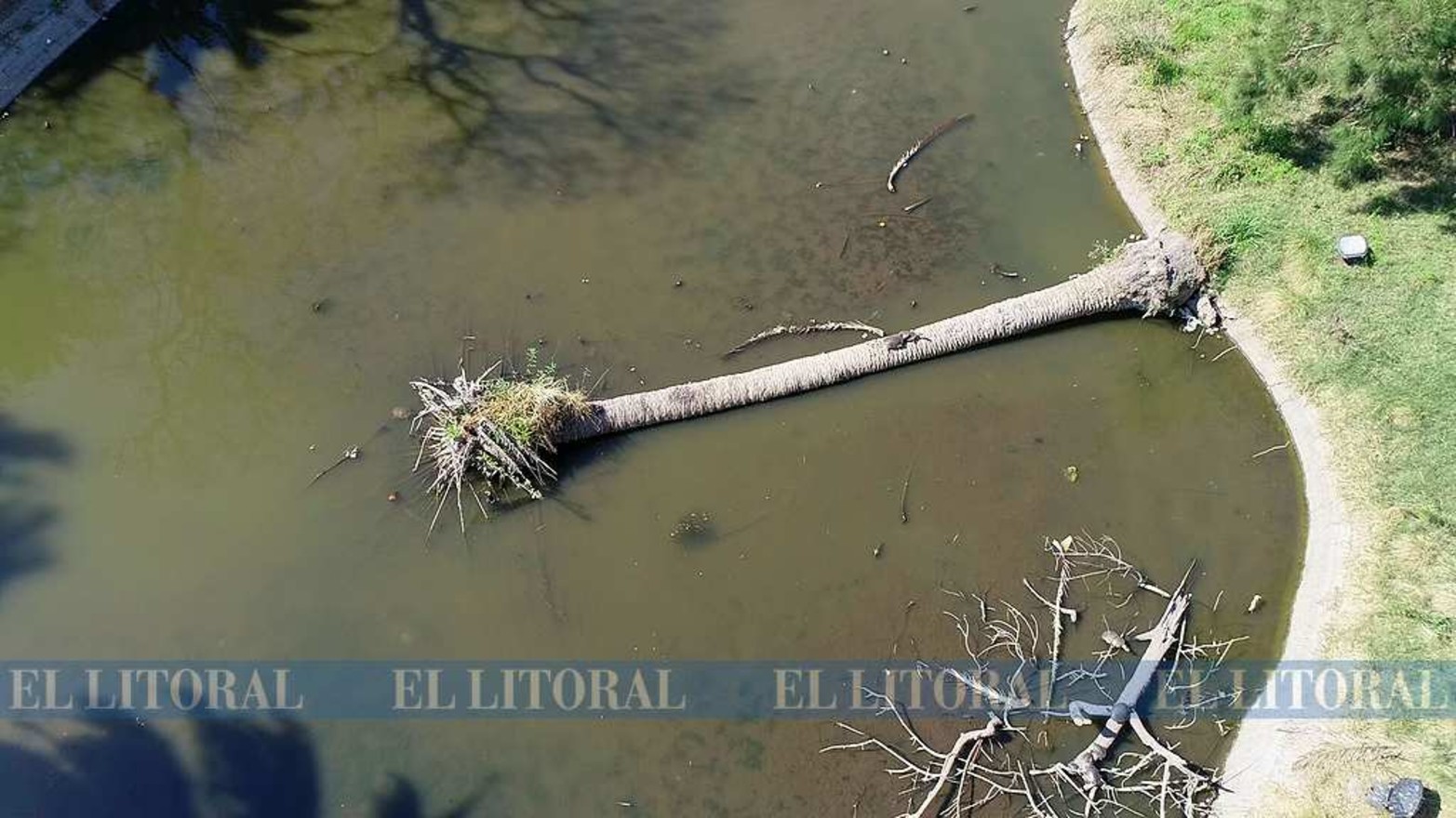 En sectores el Parque Juan de Garay se ve afectado por la falta de mantenimiento municipal.