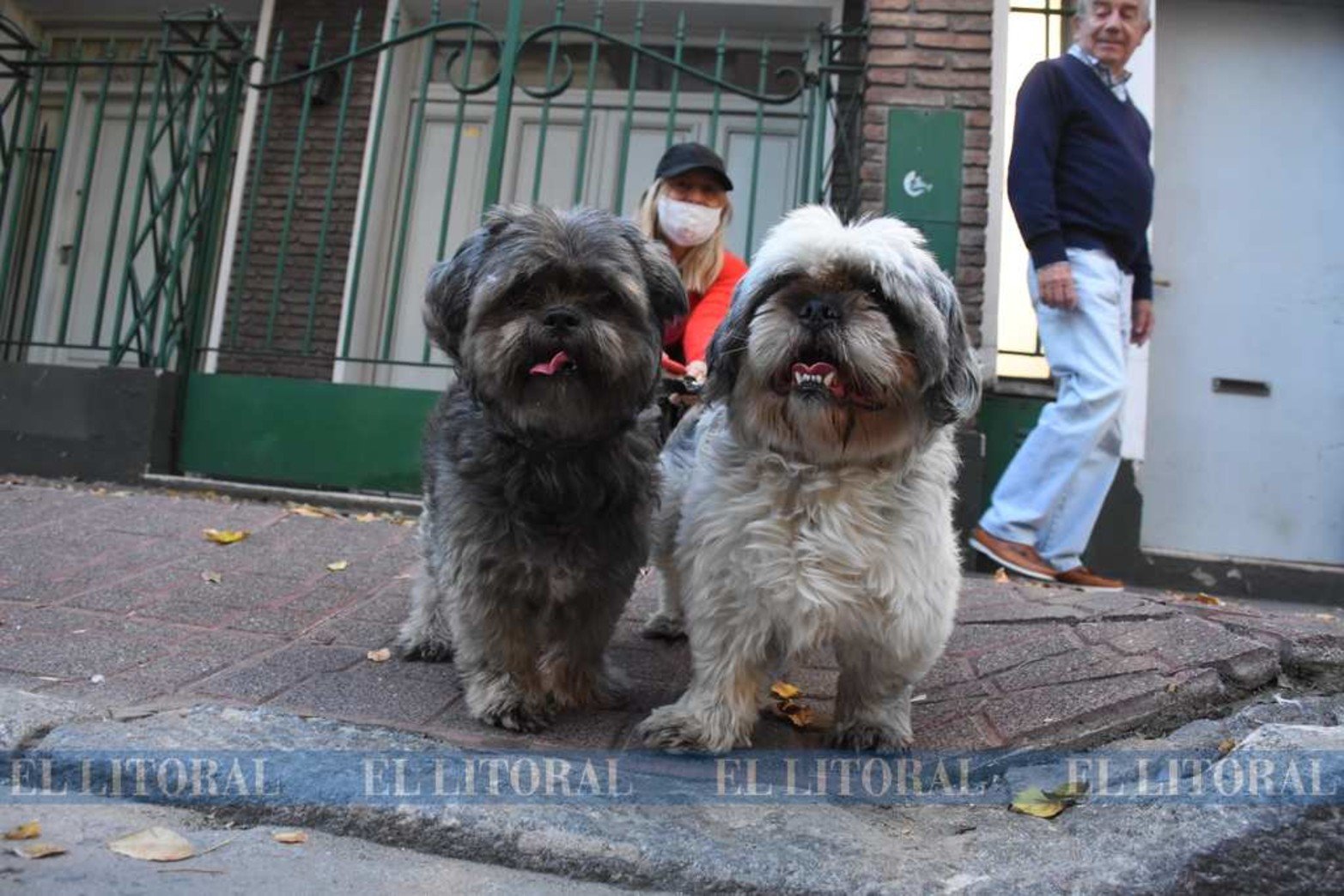 Incendio en un edificio de calle Suipacha con consecuencias fatales para su octogenaria ocupante .
