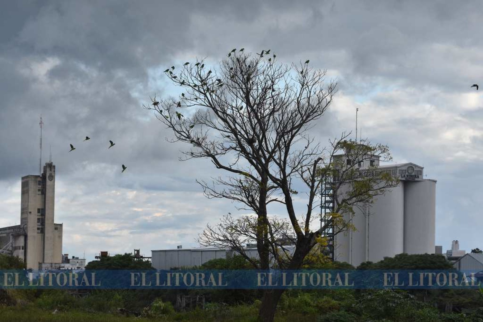 Día 25 del aislamiento social preventivo y obligatorio dispuesto por el Gobierno Nacional.