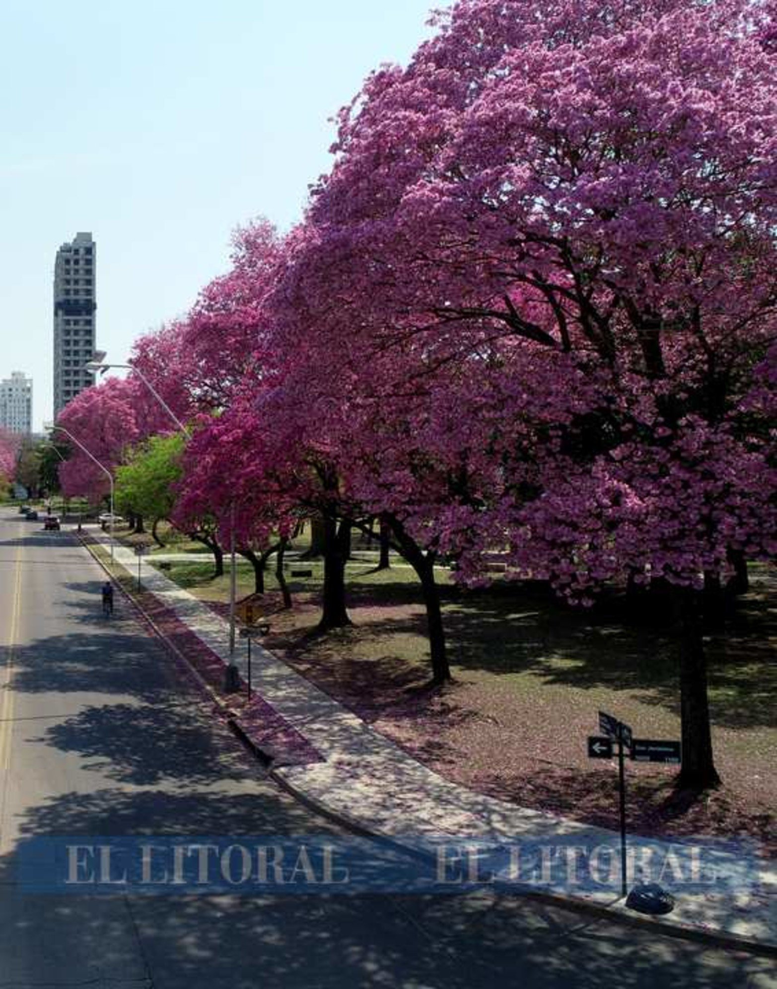 Desde el aire, la zona del parque del Lago del Sur, lucen los lapachos rosados y los tonos verdes.