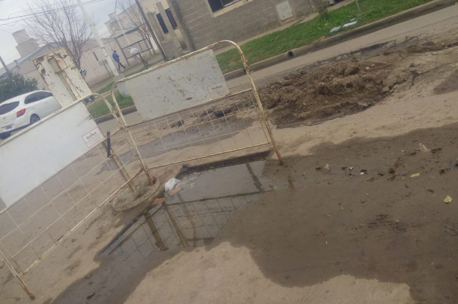 La pérdida original