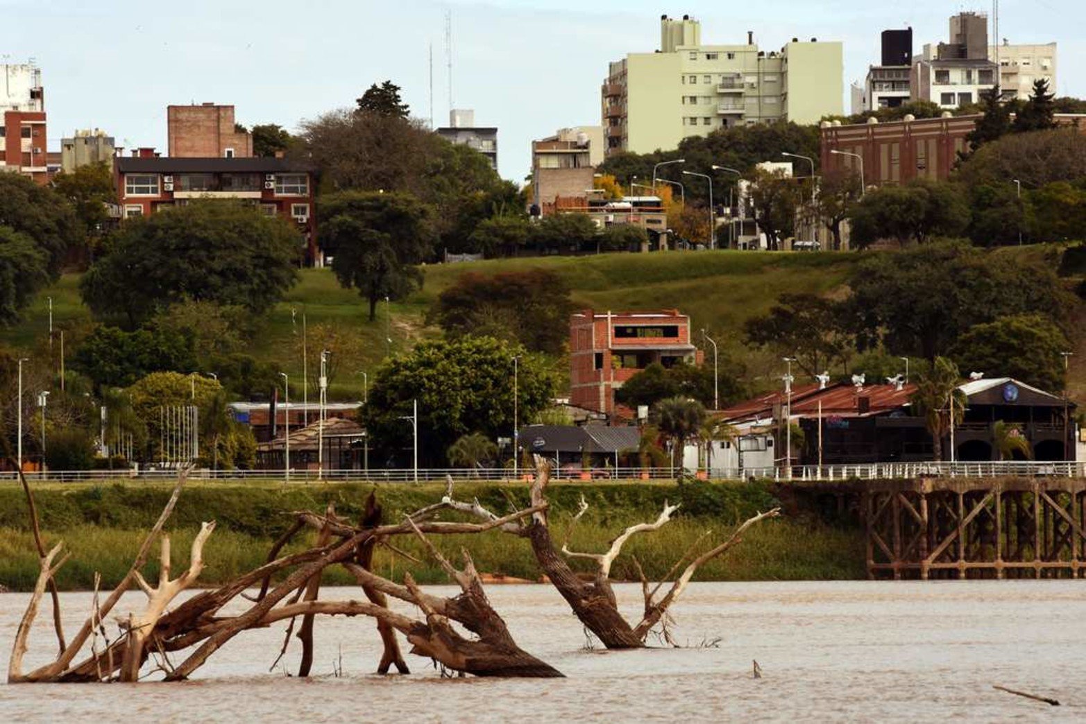 Arboles petrificados. Aparecen arboles que llevan años bajo el agua.