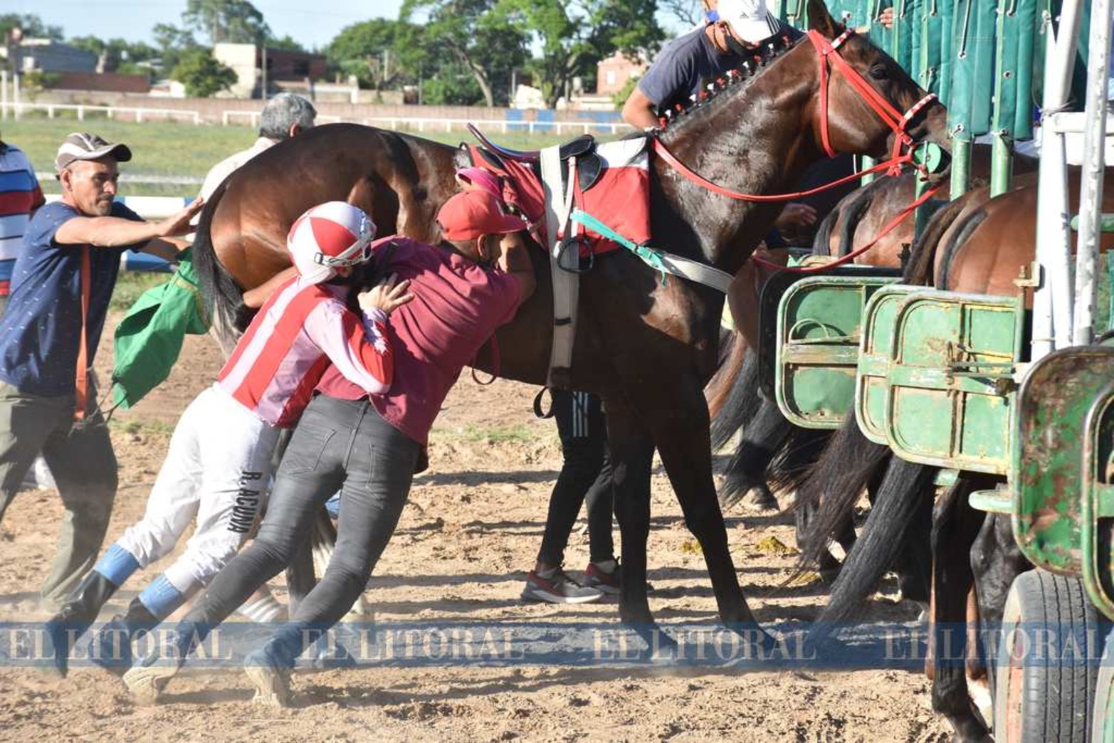 22 de noviembre. Detrás de la gatera. Todo listo para largar la clásica carrera "Carlos Pellegrini". Solo faltaba entrar uno y los esfuerzos se multiplicaron para empujar al zaino.