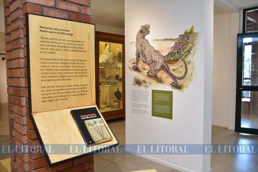 El museo Ameghino se renueva