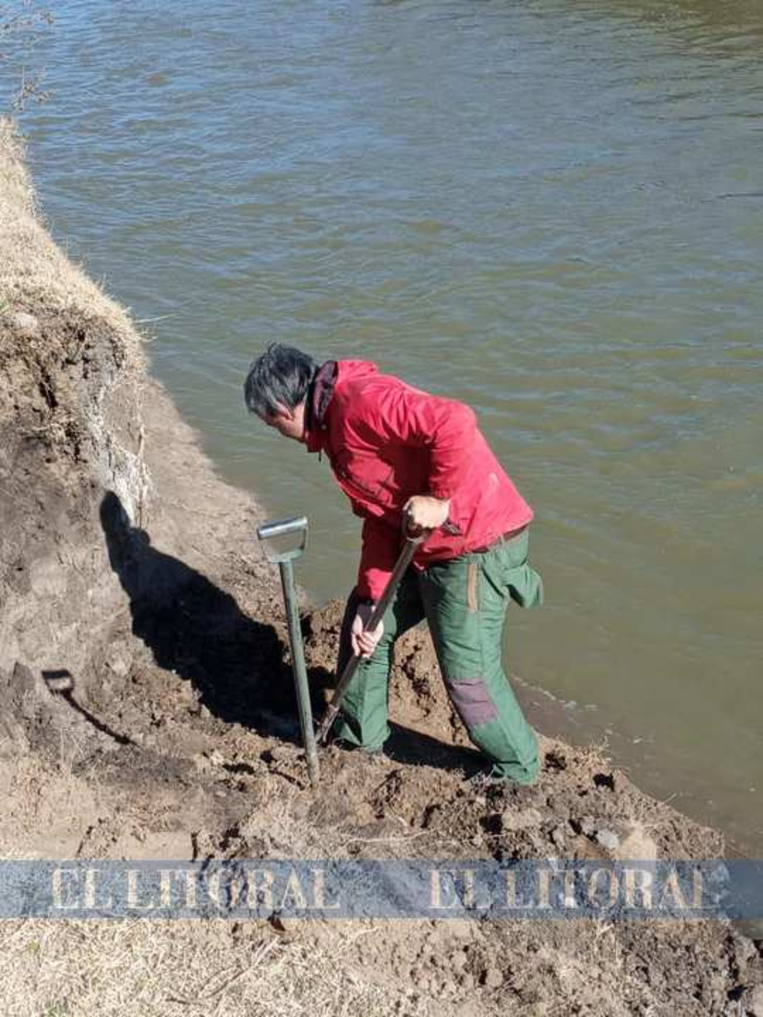 Como en la película La Era de Hielo, pero en Santa Fe: identifican a un perezoso que habitó la provincia hace 8500 años