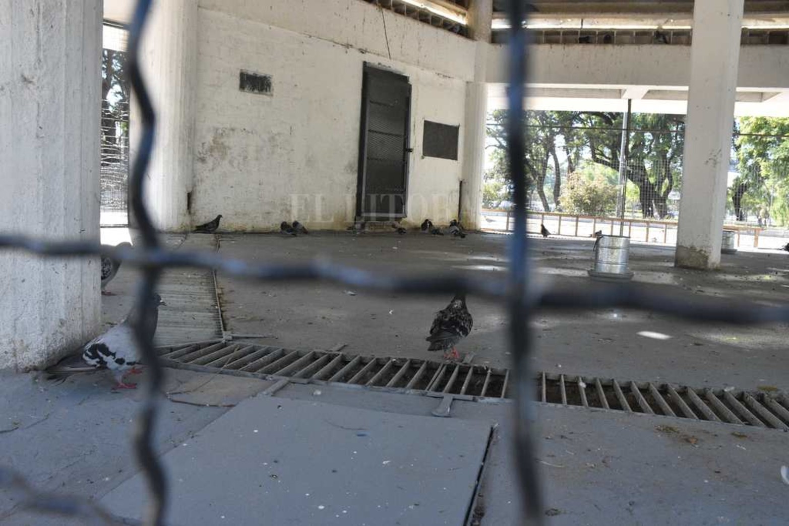 Lo nuevo. Se tapó el bebedero que había en el interior y se los colocó afuera para tener agua en mejores condiciones.