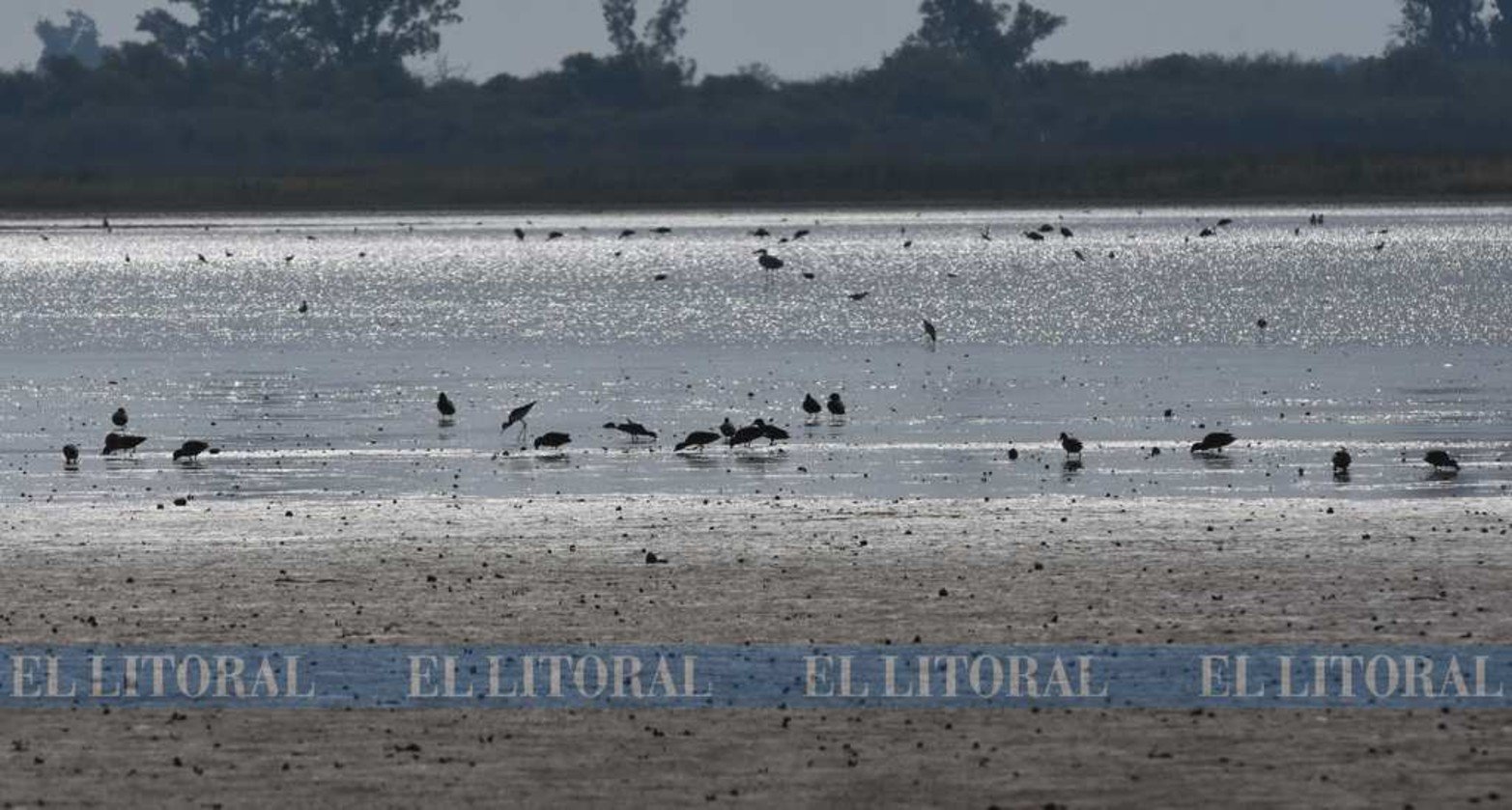 La vida cotidiana en una laguna