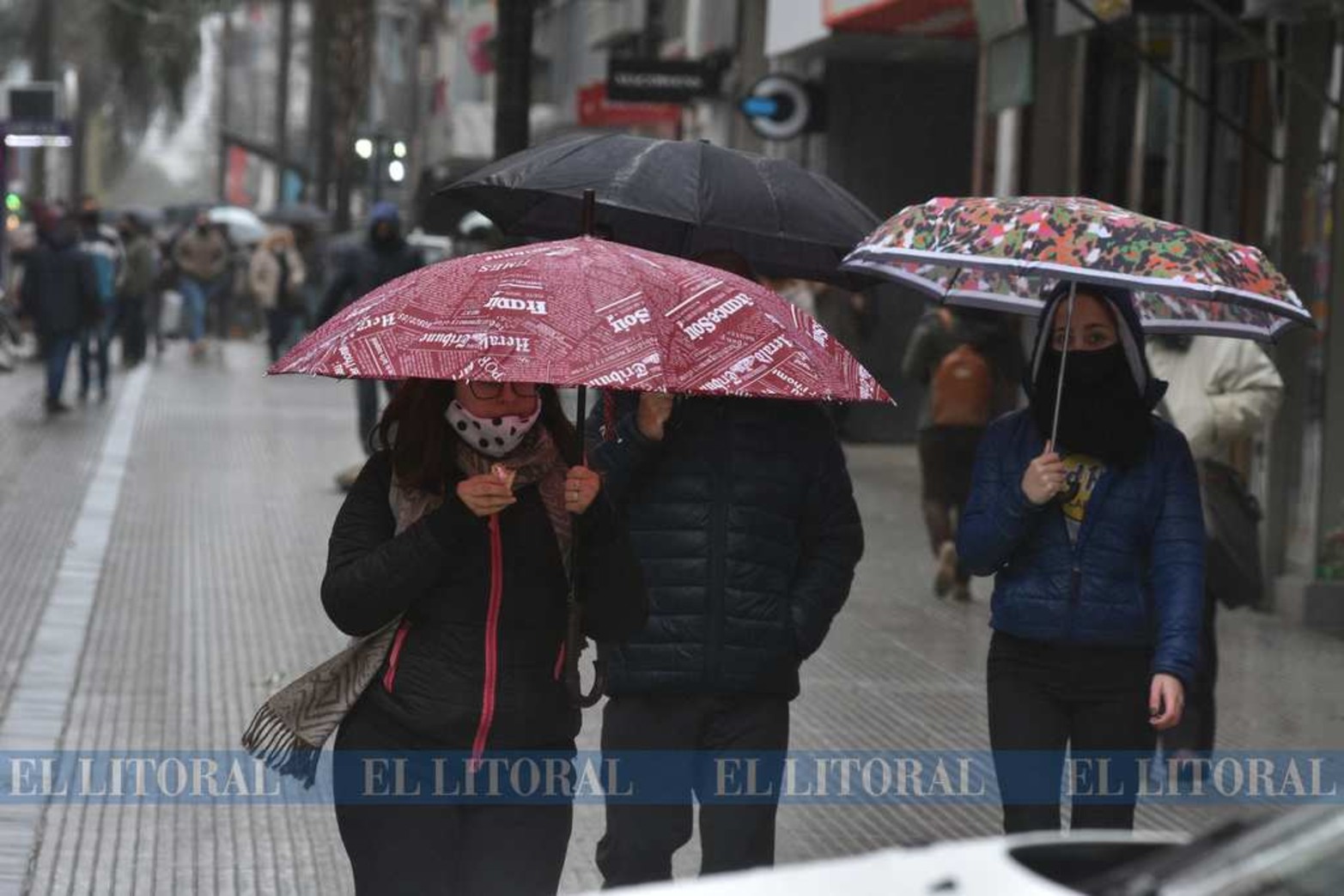 Colores en días grises de lluvia. Durante varias horas al día, y por tres días consecutivos, la región recibió la lluvia con mucha expectativa. Cayeron 40 milímetros que mojó muy bien la tierra.