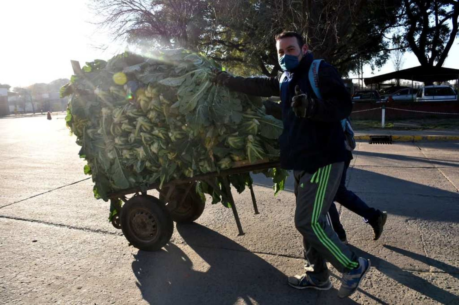 Mercado de Productores y Abastecedores de Frutas, Verduras y Hortalizas de Santa Fe lleva adelante un estricto protócolo. Lleva 127 días sin un caso de coronavirus.