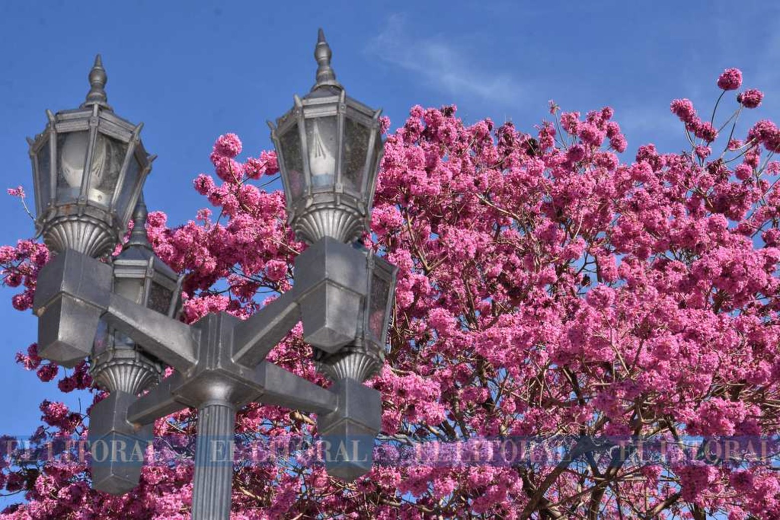 Las faroles grises combinan con el naranja y el azúl.
