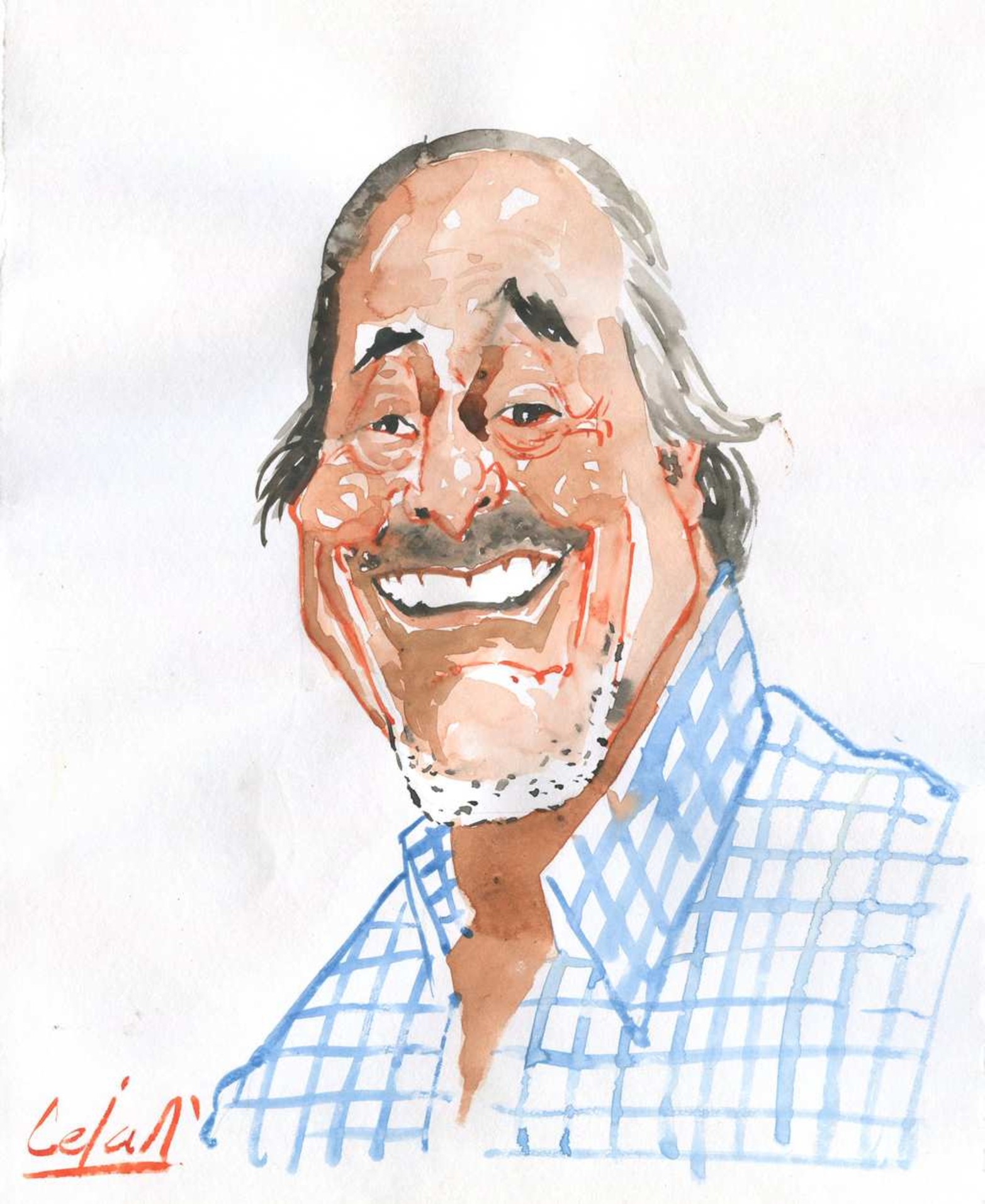 La crónica de Peisadillas, salió durante los últimos dos años los sábados en las ediciones matutina y vespertina del diario El Litoral.