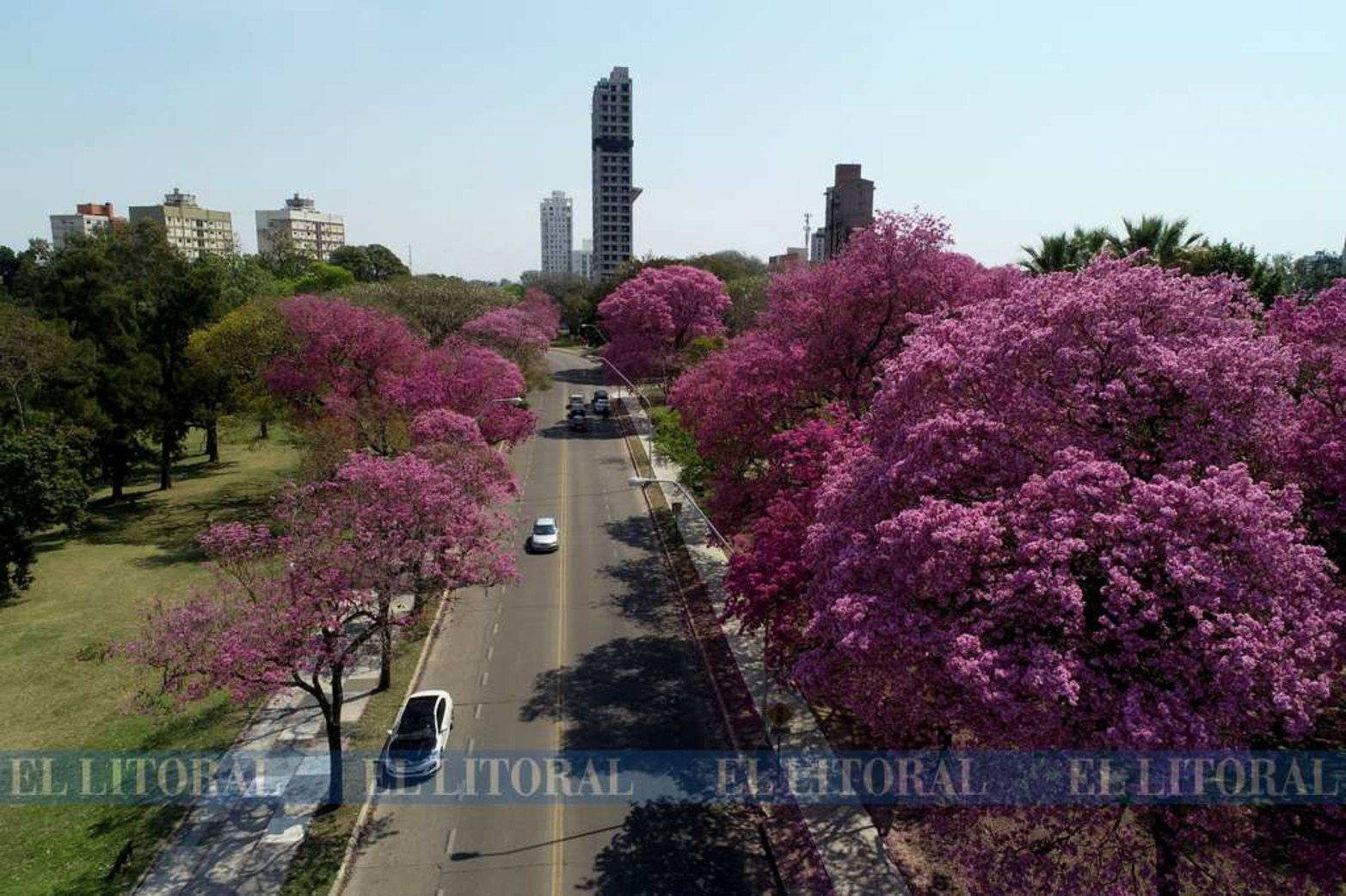 Desde el aire, la zona del parque del Lago del Sur, lucen los lapachos rosados y los tonos verdes.
