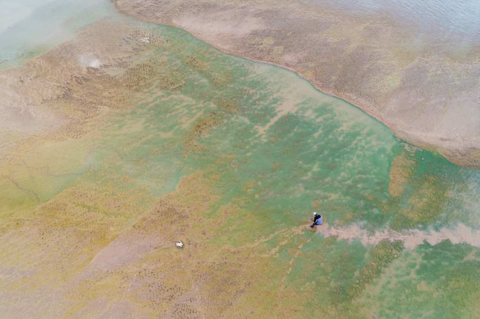Carlos López, viste desde arriba.
