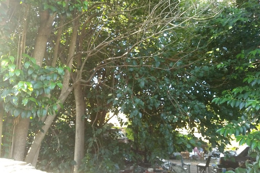 Reclamo por un baldío en Santo Tomé