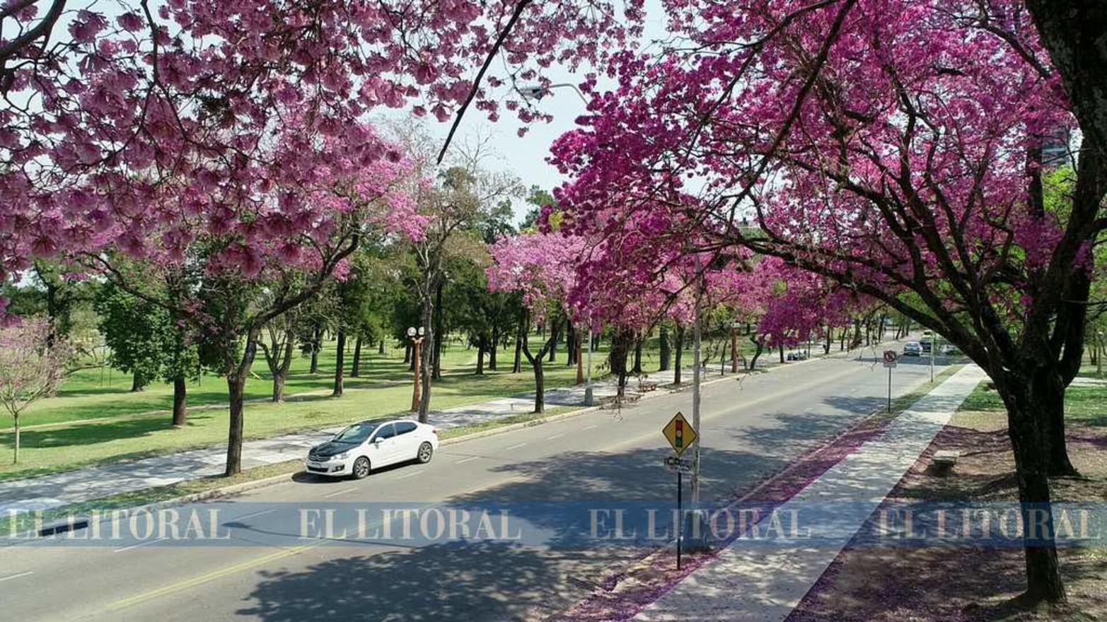 En avenida J.J Paso, en la zona del Parque del Lago del Sur.