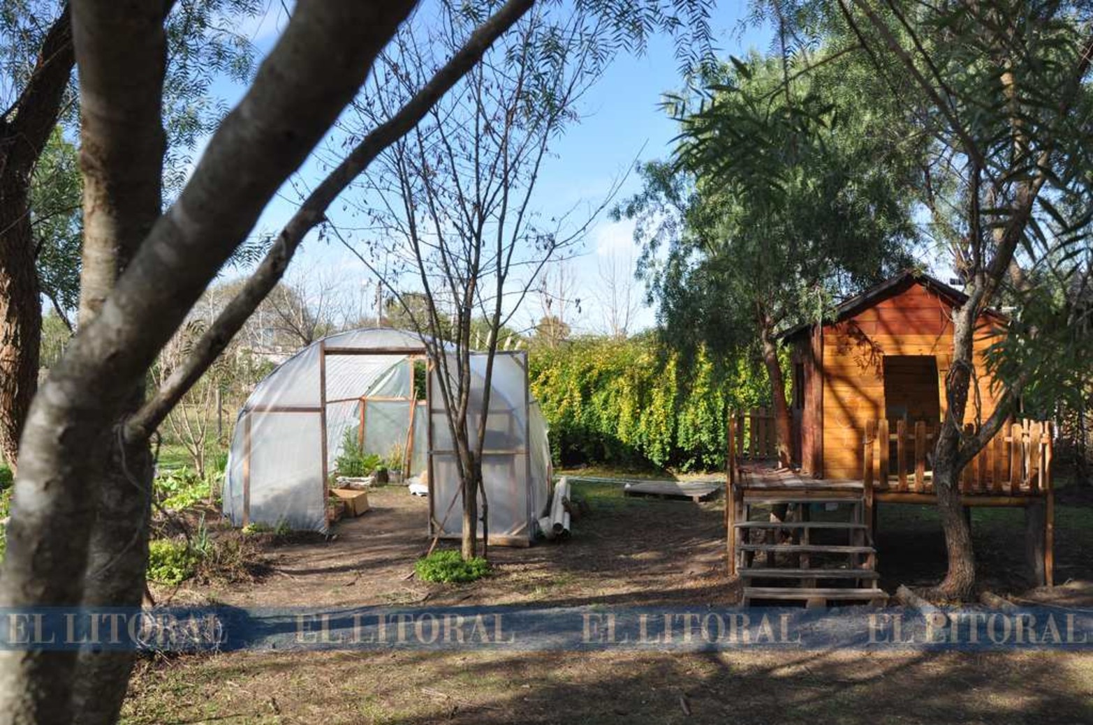 El invernadero y la casita del árbol para los niños. En espacios con buen patio se puede amenizar las dos situaciones.