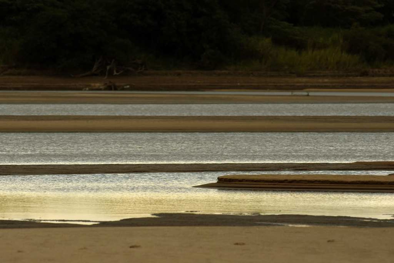 Las líneas curvas que se forman en la arena.