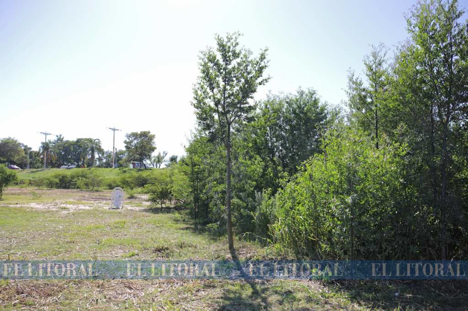 La intención es que concilien estos pequeños espacios verdes con la superficie de arena propia de la zona de playas.