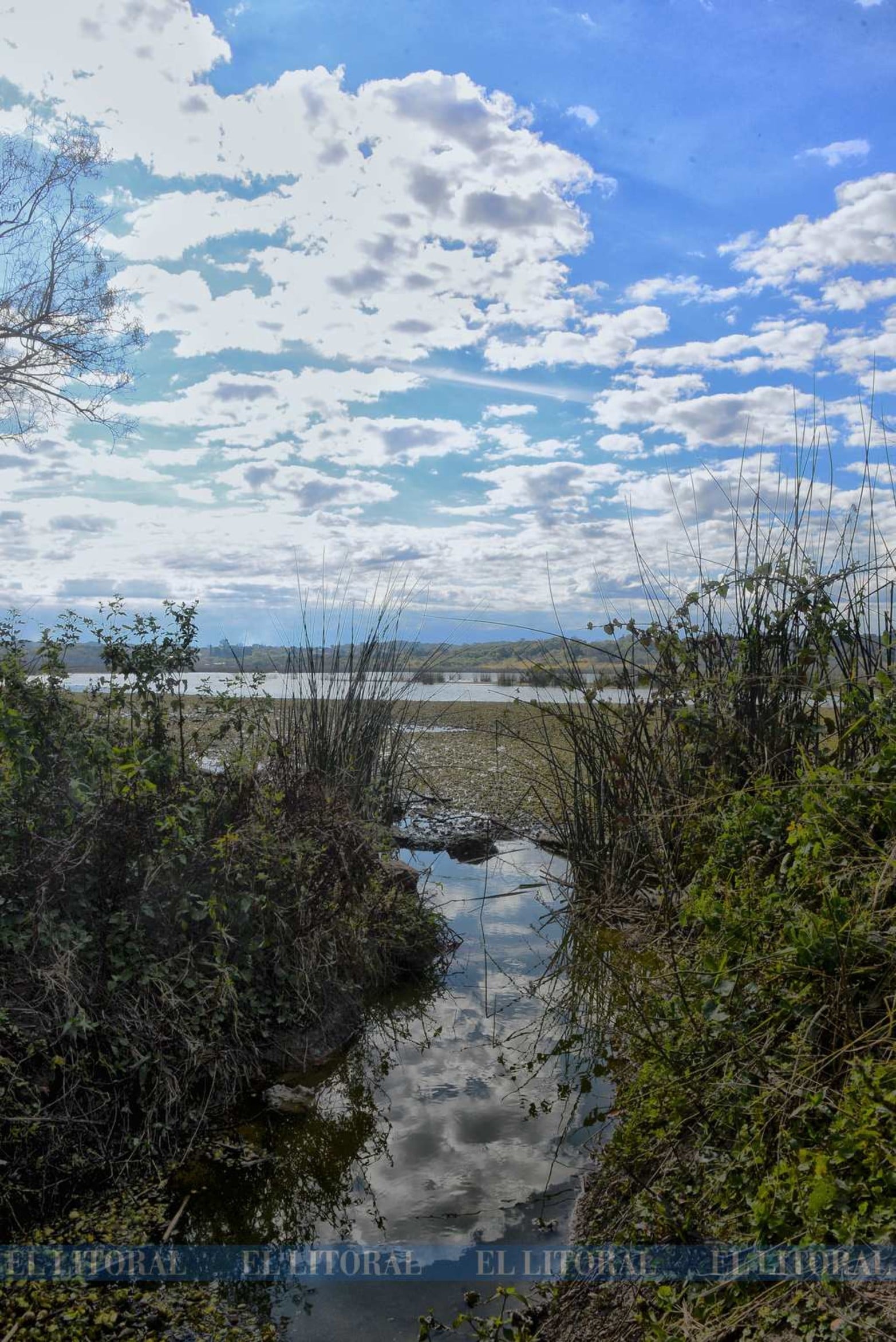 Cuidadores de la Casa Común, de la Fundación Eco Urbano, son quienes abren camino a machete por la isla e invitan al Estado a preservar el lugar.
