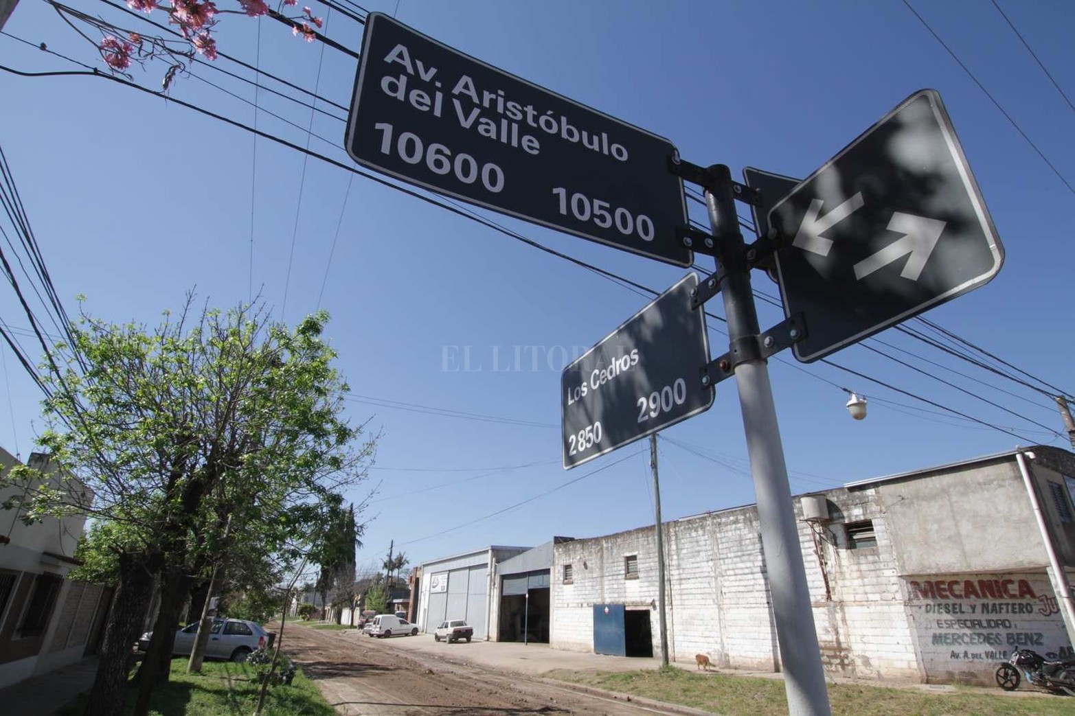 Altos del Valle es uno de los barrios que traza el límite norte de la ciudad con la localidad de Ángel Gallardo. También es el barrio que tiene como particularidad que, de norte a sur, sus calles llevan nombre de flores y, de este a oeste, de árboles.
