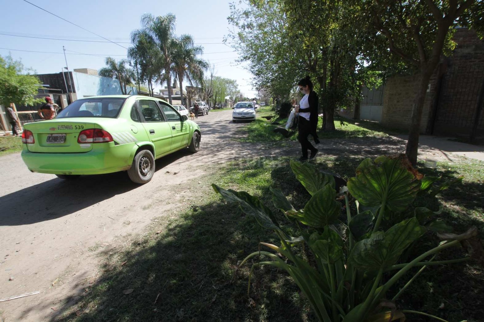Altos del Valle es uno de los barrios que traza el límite norte de la ciudad con la localidad de Ángel Gallardo. También es el barrio que tiene como particularidad que, de norte a sur, sus calles llevan nombre de flores y, de este a oeste, de árboles.