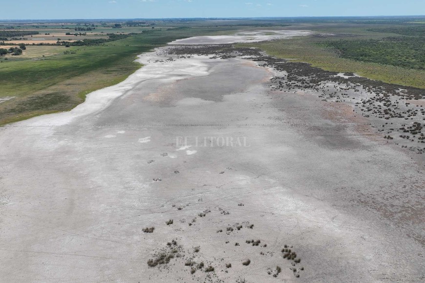 Los flamencos se quedaron sin laguna: también se secó Añapiré