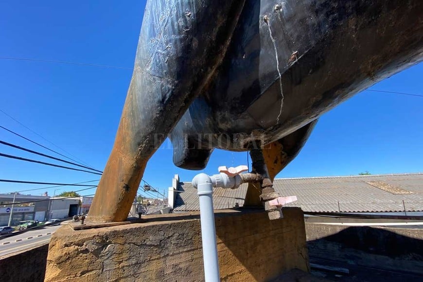 La historia del toro de Blas Parera