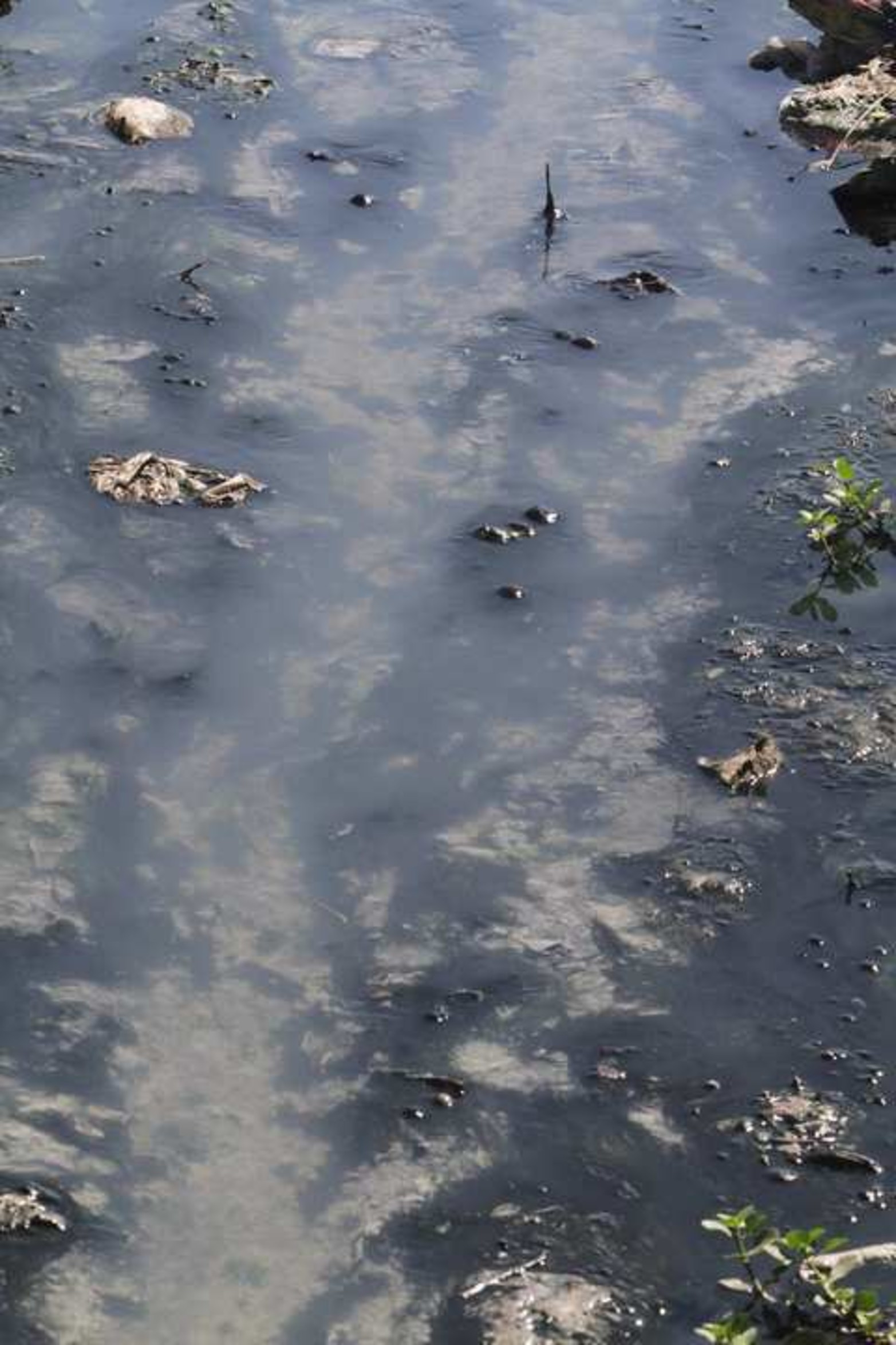 Entre sus demandas actuales figura la necesidad de entubar un zanjón a cielo abierto que ocasiona problemas.