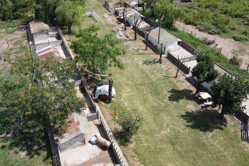 Las imágenes de las unidades productivas en la escuela Agrotécnica de Sa Pereira