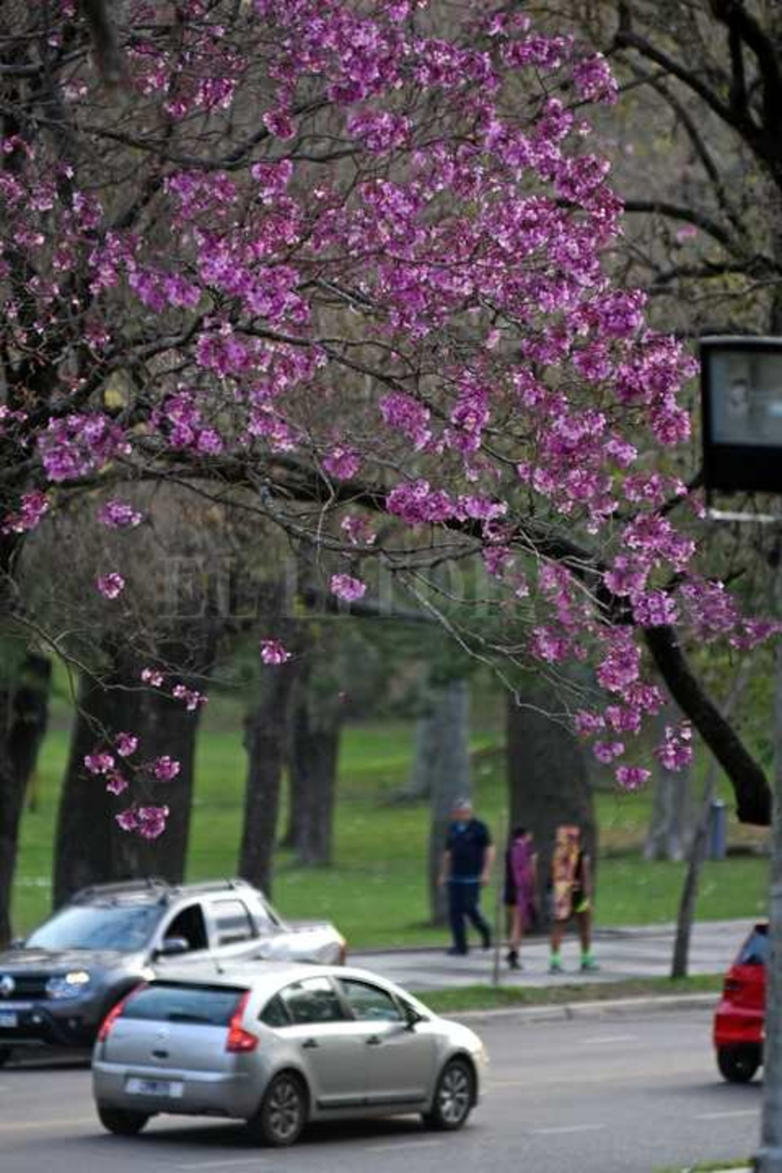 En el parque del Sur "Manuel Belgrano".