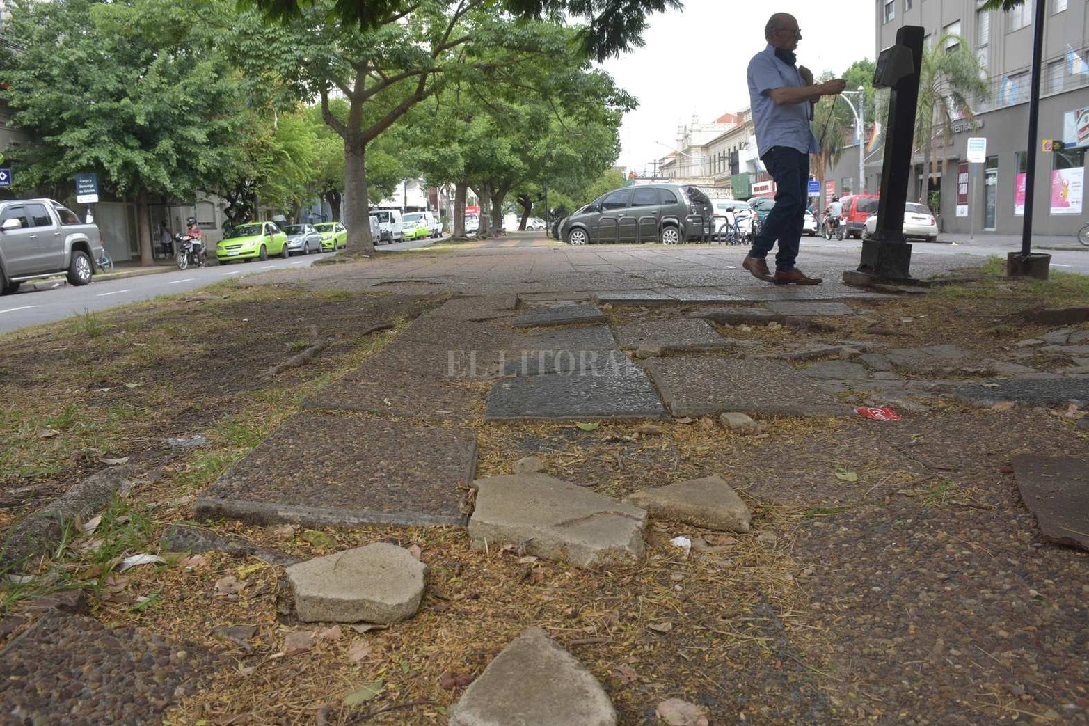 ¿Qué pasó con las cuatro cuadras de bulevar Pellegrini abandonadas?. Son 400 metros que desentonan del resto del paseo. La restauración integral las "dejó afuera". Las raíces levantan las veredas, crecieron yuyo y son un peligro para peatones. La zona está entre las transversales desde San Martín hasta 4 de Enero.