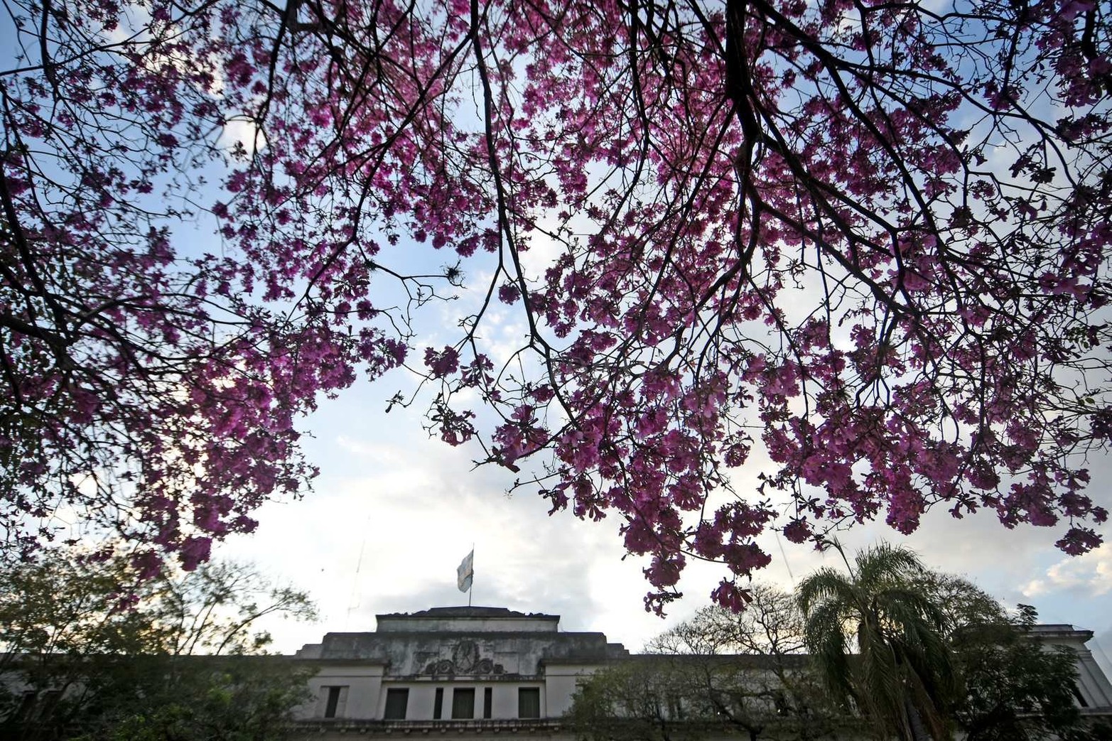 Frente a Tribunales.