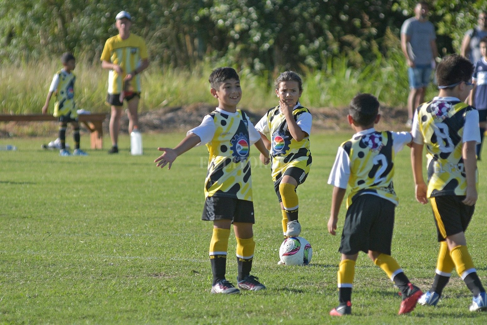 El torneo Talento 2021 es organizado por Cosmos FC y se lleva a cabo entre este miércoles y el próximo domingo 5 de diciembre. Participan más de 160 equipos.
