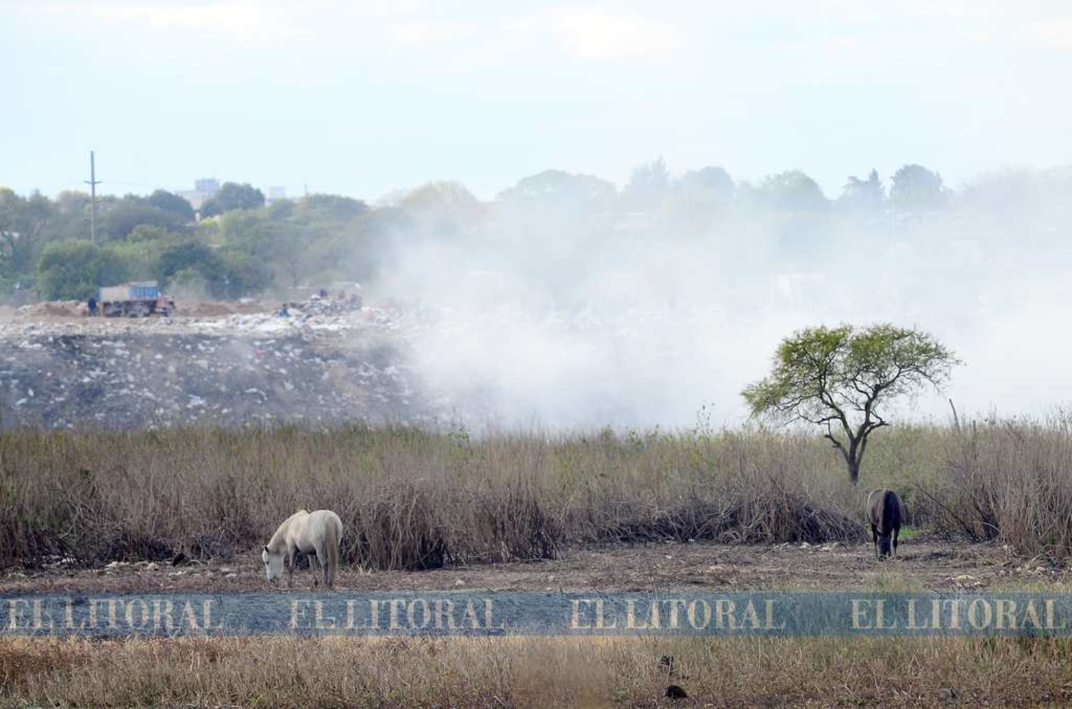 Contrastes. Un sector de la isla limita con el "Volcadero", que es donde la municipalidad de Paraná tira la basura y la tapa con tierra.