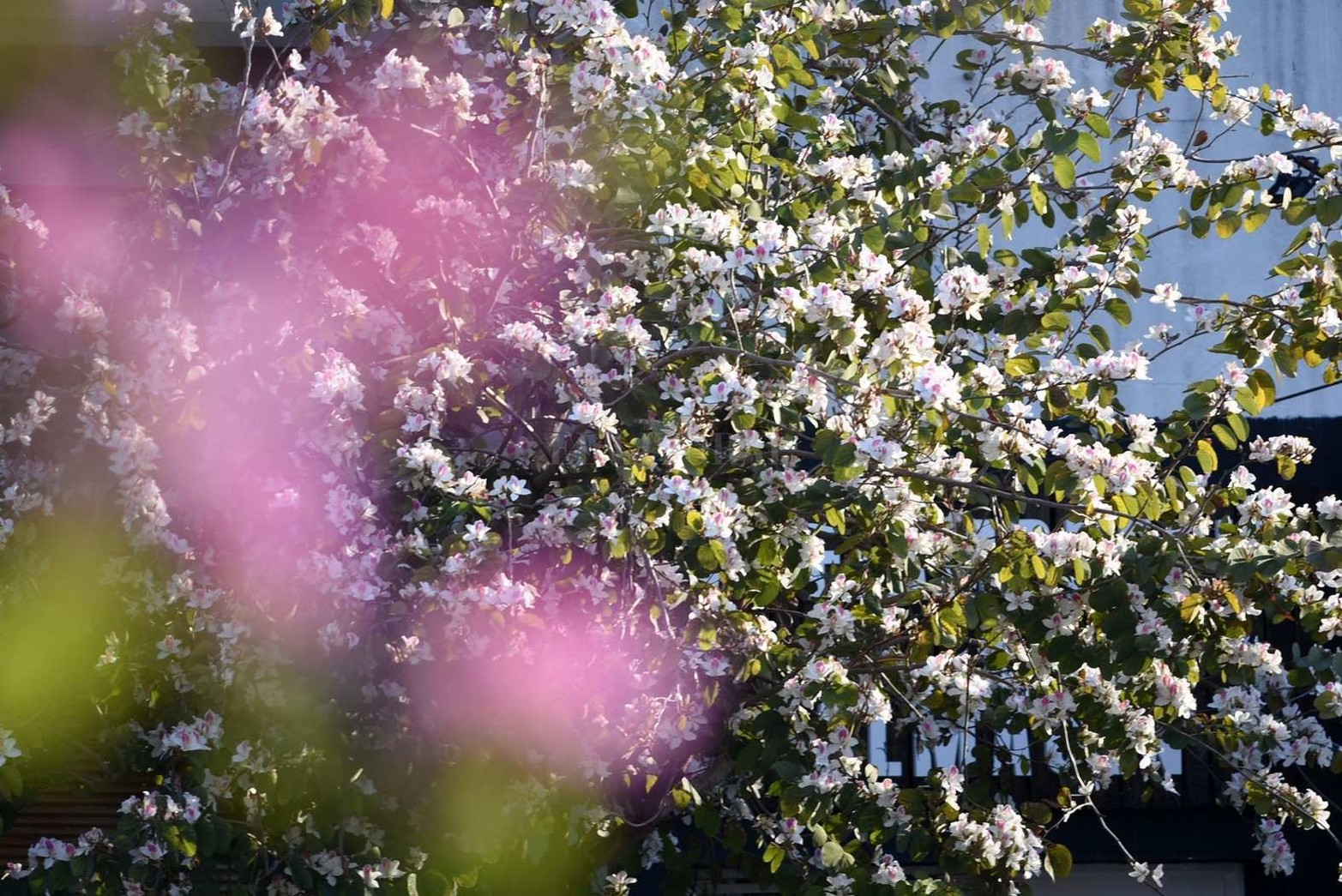 En calle Belgrano al 2900.