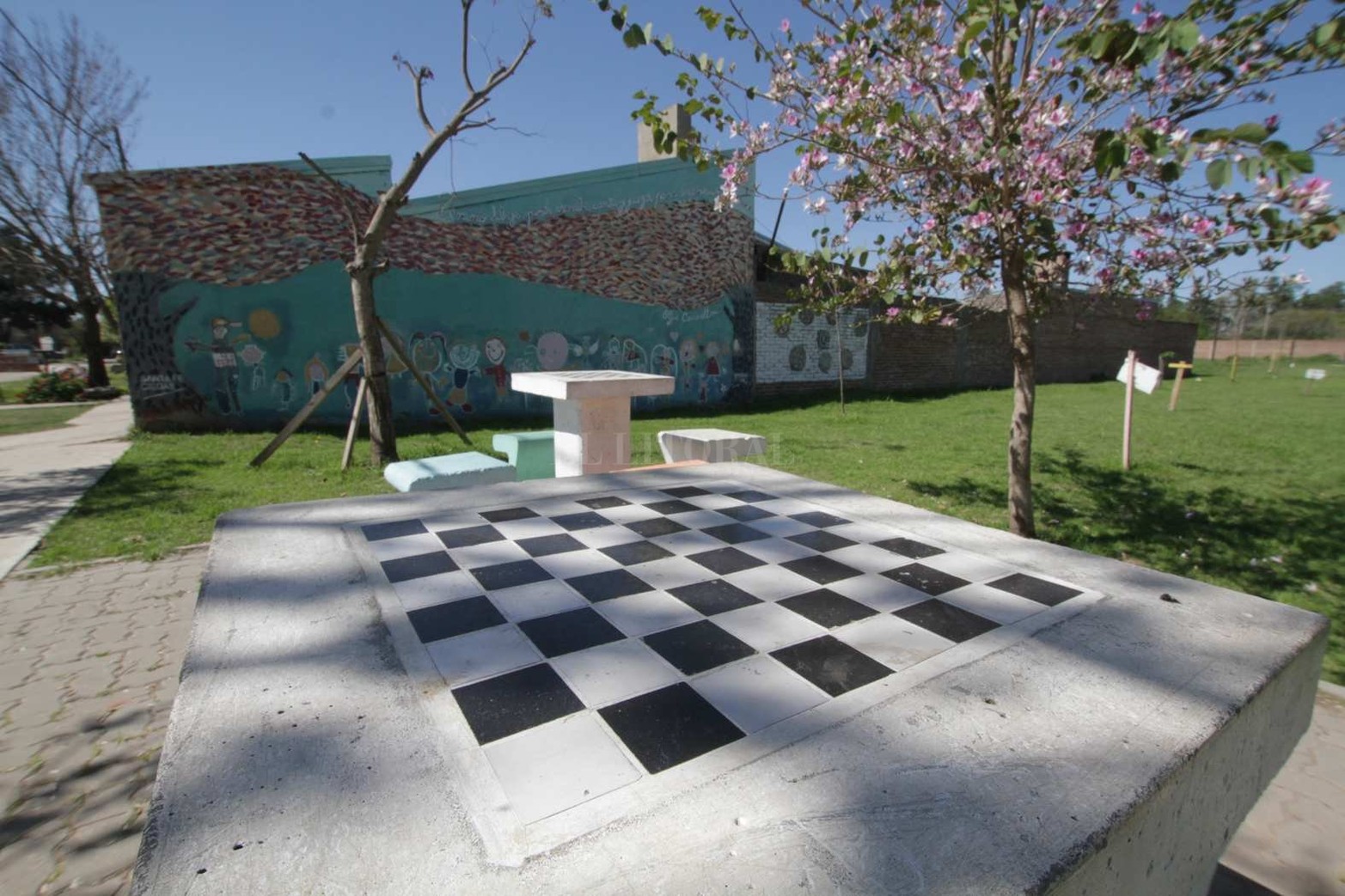 Altos del Valle es uno de los barrios que traza el límite norte de la ciudad con la localidad de Ángel Gallardo. También es el barrio que tiene como particularidad que, de norte a sur, sus calles llevan nombre de flores y, de este a oeste, de árboles.