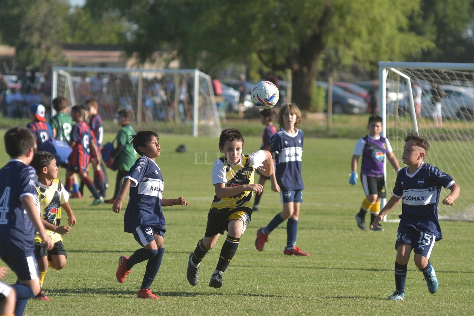 El torneo Talento 2021 es organizado por Cosmos FC y se lleva a cabo entre este miércoles y el próximo domingo 5 de diciembre. Participan más de 160 equipos.