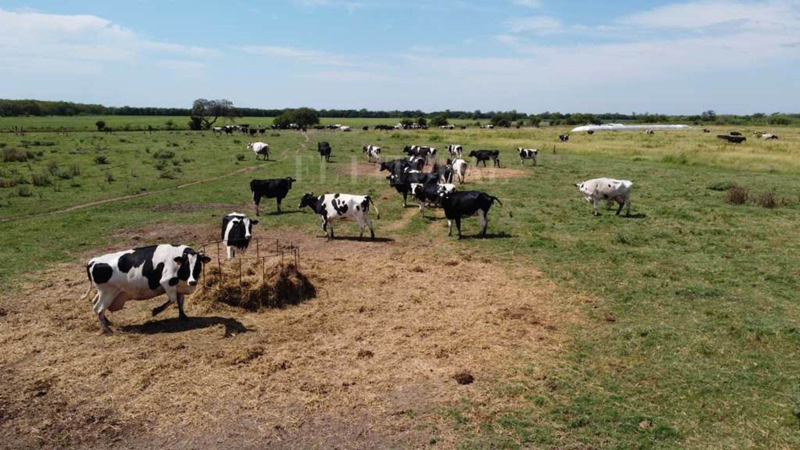 La Escuela Agrotécnica Nº 299 Carlos Sylvestre Begnis, lleva 55 años formando alumnos con especialidades en la producción rural. Hay 14 unidades didáctico-productivas. El predio es de 500 hectáreas.