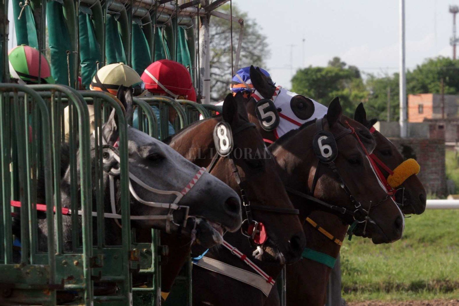 Largada en la gatera del clásico San Jerónimo.