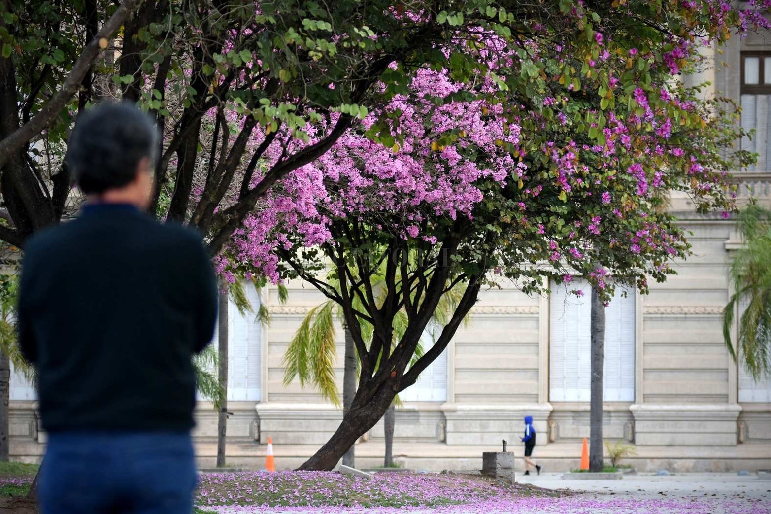 Plaza de las Tres Culturas, zona de casa de Gobierno.